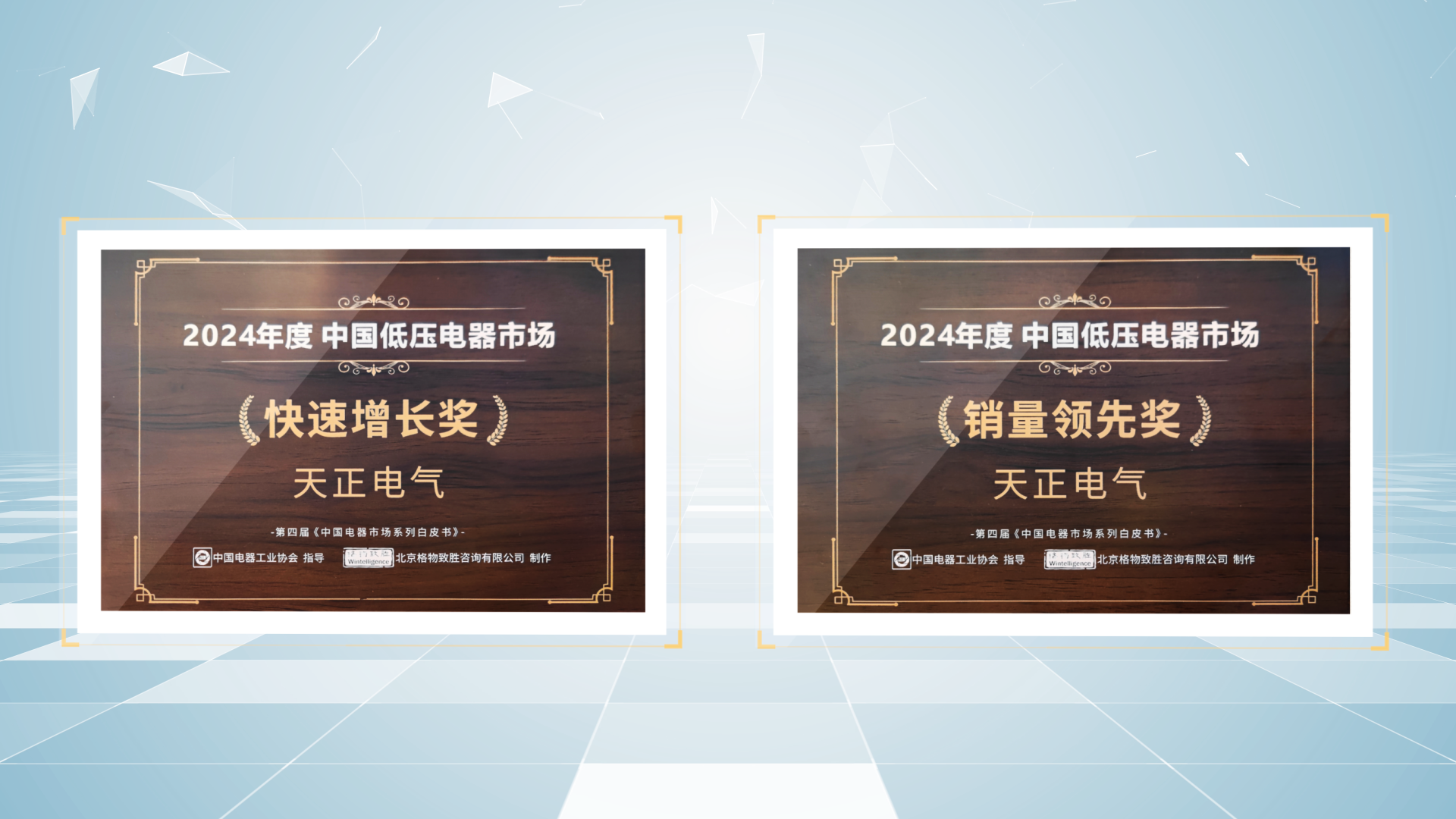 銷量領(lǐng)先、快速增長丨天正榮膺2項(xiàng)行業(yè)年度大獎(jiǎng)